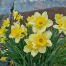 원예기능사 이미지