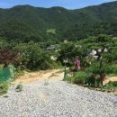 딸부잣집 펜션 이미지