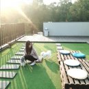 NR-30[호국로]-하-328 | 인천 강화도 애견카페 흐노니 운동장에 루프탑에 너무 이쁘게 잘되있어요❤