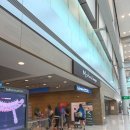 신라약국 | 인천공항 1터미널 와이파이도시락 신라면세점 인도장 백년가게 점심 키즈포트 118 탑승동