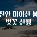 진안-진안-비상-30 | 진안 마이산 봄 벚꽃 산행