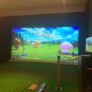 버디스크린 골프장 이미지