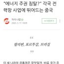 "에너지 주권침탈?", 각국 전력망 사업에 뛰어드는 중공 이미지
