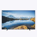 삼성 BE98H 비즈니스TV 4K 120Hz 6% 할인 혜택 확인