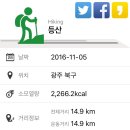 무등로2구간 이미지