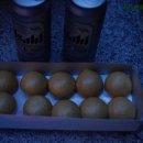 노을공원가로수길 이미지