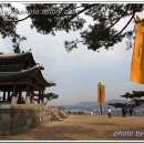 수원-0978 티스토리