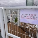 “무구순구”애견카페+운동장/ #중대형견 전용 운동장 진도믹스견 천국에 다녀온 후기