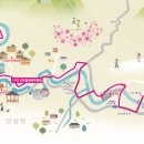 단양생태체육공원 2 이미지