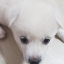 도희동물병원 이미지