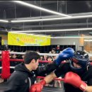 복싱프라자 이미지