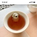 내사랑똥강아지 이미지