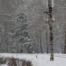 러브레터 이미지