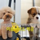 몽몽살롱 이미지