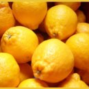 해뜨는농원 이미지