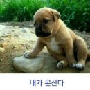 참 이미지