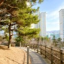 양지근린공원 공중화장실 이미지