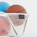 [유아체육] 지각운동 이미지