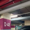 묘묘 고양이 미용실 이미지