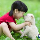 미래환경자원 이미지