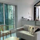 굿나잇도그 이미지