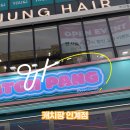 캐치팡 이미지