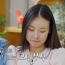 김형민 MHN스포츠