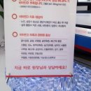 비타민투어 이미지