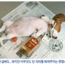 나도 이미지