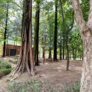 민백어린이공원 이미지