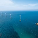 탐라태양광발전소 이미지