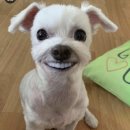 아마스빈이천 | 30문 30답 !!!