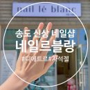 송도 네일 8공구 네일샵 디에트르 근처 네일르블랑 자석젤네일 후기