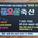 칠오삼