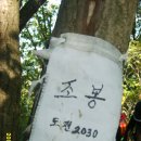 칠갑산목장 티스토리