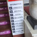 부산광역시 수영구 광안해변로 229   (광안동) 광안리해수욕장 만남의광장 앞 | [경상남도 부산시] 수영구 광안리 해수욕장 낙지 요리와 부추전이 맛있는 '고낙온'