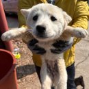 신금산단2길 이미지