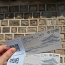 매화도서관 | 2026 창덕궁 매화 개화 실시간 현황, 창덕궁 후원 예매 후기