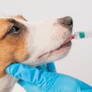 온누리 동물약국 이미지