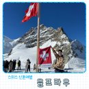 스위스 융프라우 vip패스 구매 그린델발트에서 융프라우가는법 얼음동굴 솔직후기