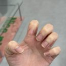 하이네일스튜디오