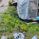 신녕천강변공원 이미지