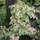 유원농장 이미지