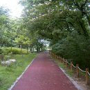 ＠ 싱그러운 푸른 숲과 연꽃의 즐거운 향연 ~ 함양 상림공원 (한남군묘역) 이미지