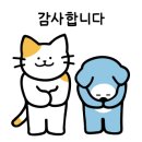 피씨 온 이미지