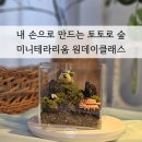 포항 원데이클래스:초보자도 부담없는 미니테라리움 디자인랩 커스텀 수업 후기