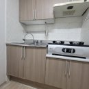 단원경로식당 | 새끼 바퀴벌레 퇴치 싱크대 출몰 독일바퀴 유충 알집 배설물 똥 없애는법 박멸 후기