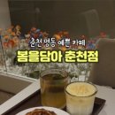 봄을담아 이미지