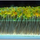 제주 유리의 성 이미지