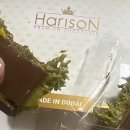 스츠 | 다음 생엔 스위스 개로 태어나고싶다